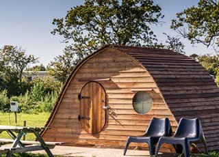 Hollie Pods